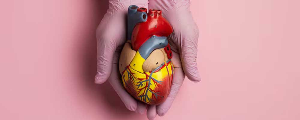 Service Image